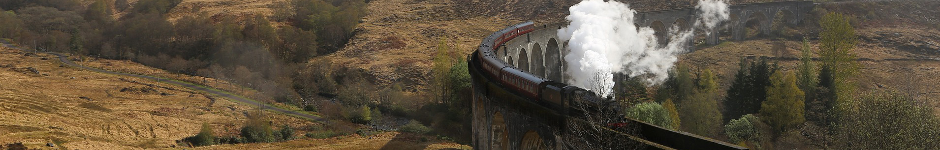 Railroad Pass Collector